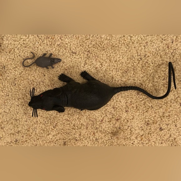 Rat and mouse Life like Halloween decoration rat with mouse, like new or new - Picture 1 of 8